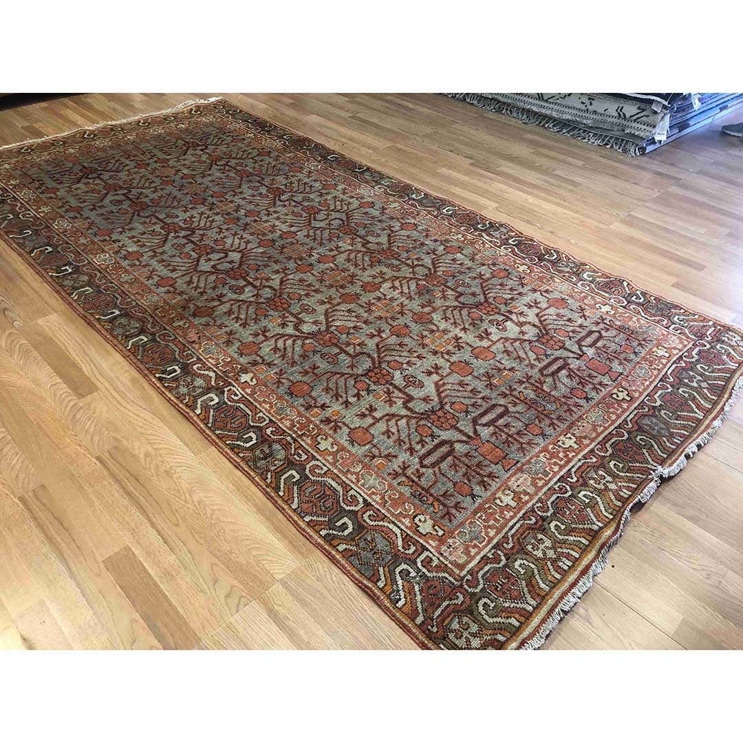 sensational samarkand 1900s - antique khotan rug oriental carpet-5'7" x 10'2" ft