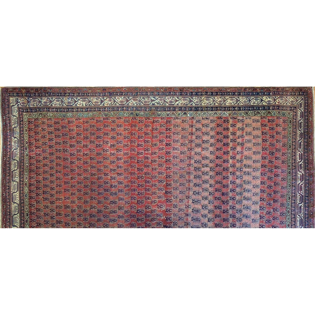 Spectacular Seraband - 1900s Antique Mir Rug - Tribal Carpet - 6'2" x 10'9" ft