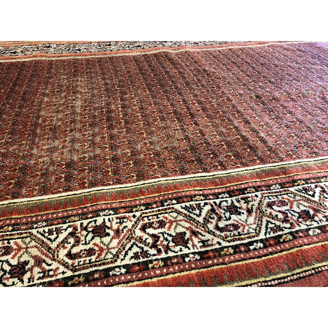 Special Seraband - 1910s Antique Mir Rug - Tribal Carpet - 4'3" x 7' ft